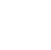 https://uslanguageschool.com/wp-content/uploads/2023/02/sve-icon4.png